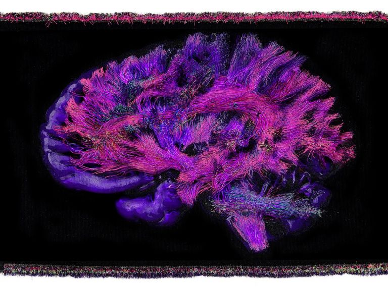 Christian Fogarolli, Recycled Brain, 2020, Recycled plastic, natural yarns, 180 x 260 x 5 cm, Ed. 1/2 + AP. Courtesy Galerie Alberta Pane, Paris/Venice. Work realized with Giovanni Bonotto and A-Collection