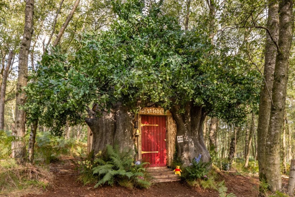 La casa di Winnie The Pooh esiste e ci si può dormire