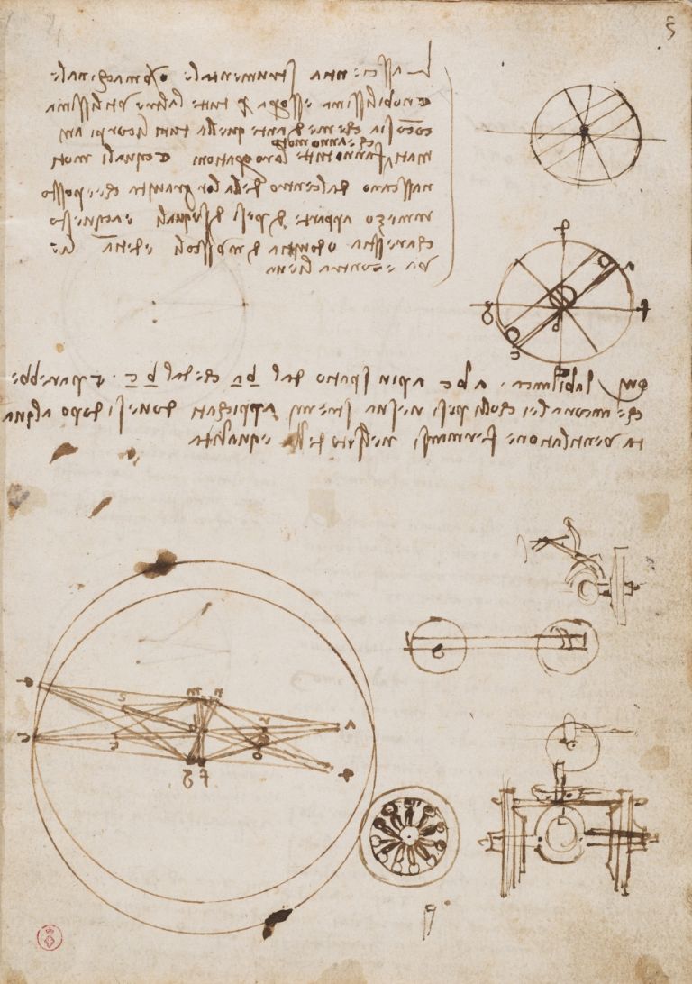 Codici sul volo degli uccellii, credits Musei Reali Torino