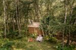 11 Winnie the Pooh Picnic 1 Airbnb CREDIT Henry Woide La casa di Winnie The Pooh esiste e ci si può dormire