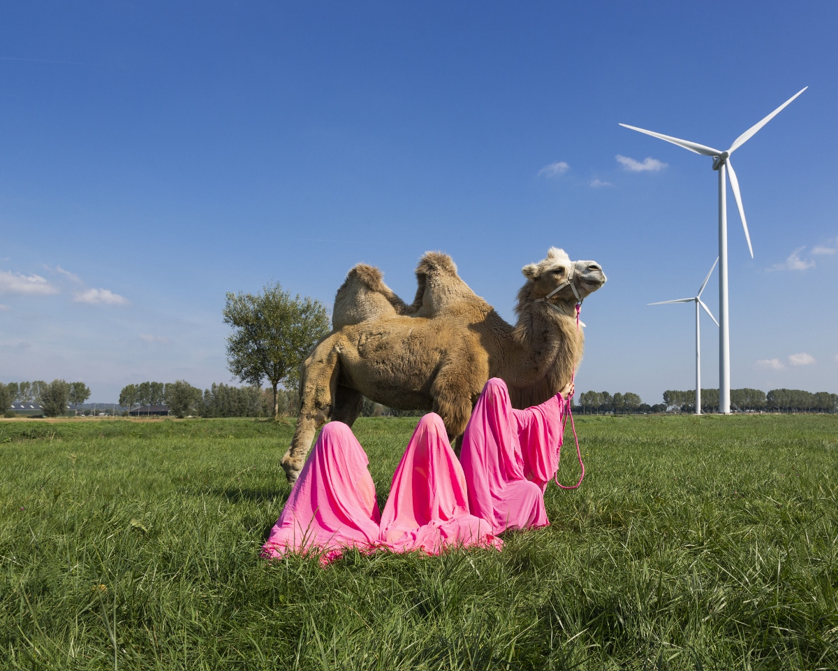 Scarlett Hooft, Still Life with Camel #22021, 212 Photography Istanbul