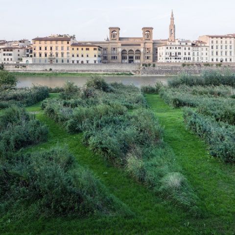  Studio ++ ha realizzato un giardino all’italiana “in negativo” ispirato al Terzo Paesaggio di Gilles Clément, Firenze, ph altrospazio