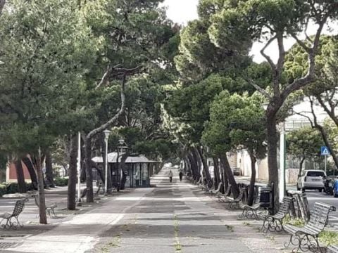 Viale Buoncammino, Cagliari