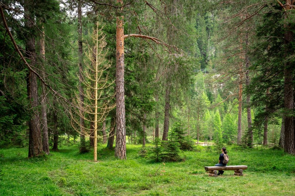 Arte contemporanea sui sentieri delle Dolomiti