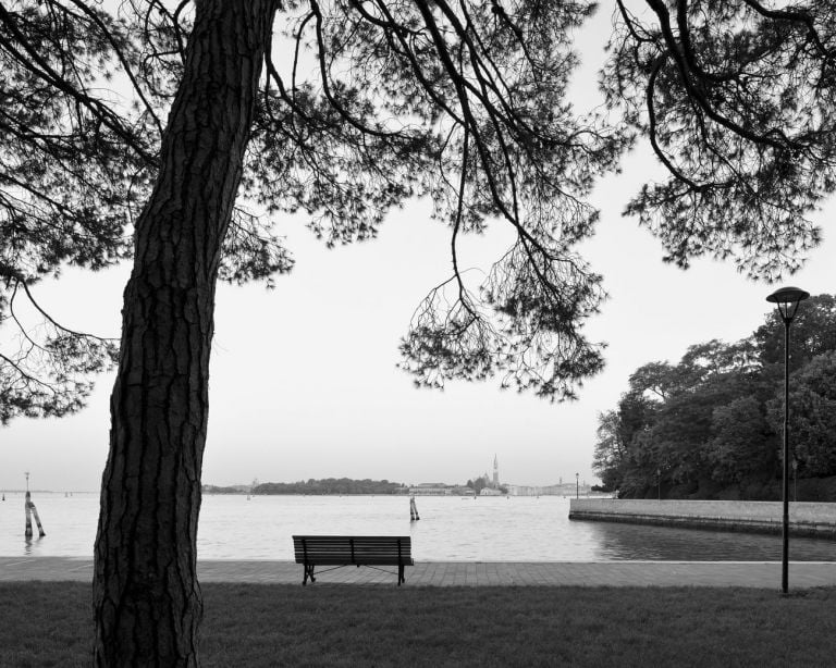 Castello, Sant’Elena, Parco delle Rimembranze, 2020 © Venice Urban Photo Project Mario Peliti