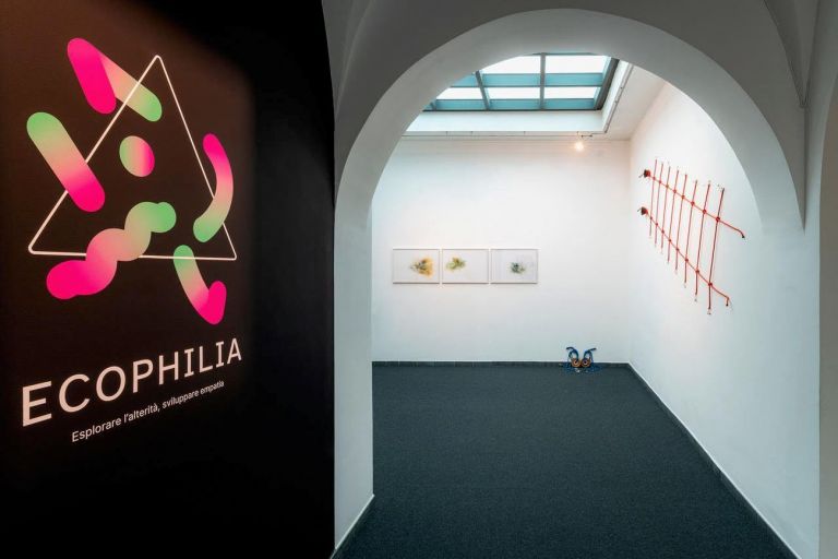 Ecophilia. Exhibition view at Museo Nazionale della Montagna, Torino 2021