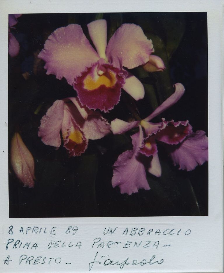 Gian Paolo Barbieri, Seychelles, 1989. Courtesy Fondazione Gian Paolo Barbieri © Gian Paolo Barbieri