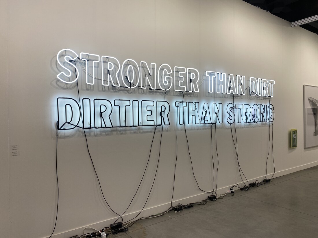 Mary Ellen Carroll, Stronger than dirt Dirtier than strong, Galerie Hubert Winter