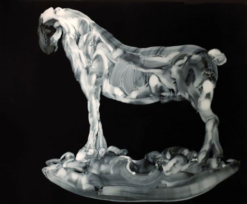 Massimo Pulini, Dal Regno, Cavallo Varoli, 2020, olio su radiografia, cm 35,5x43