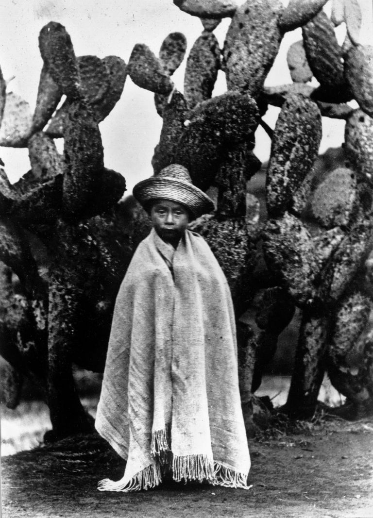 Tina Modotti, Bambino davanti a un cactus, Messico, 1928 ca. © Tina Modotti