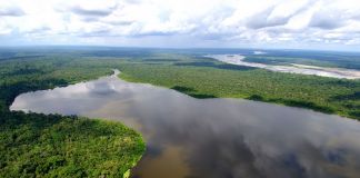 Amazzonia, Ecuador. Photo Wikimedia Commons Leo Sanchez, 2011, CC BY SA 3.0
