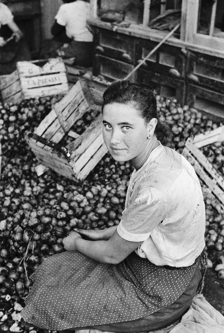 Ando Gilardi, Mondine delle noci al lavoro sulla pulitura dal mallo, 1954 © Fototeca Gilardi