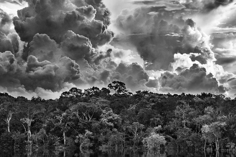 Arcipelago fluviale di Mariua. Rio Negro. Stato di Amazonas Brasile 2019 © Sebastiao Salgado Contrasto Perché è importante tornare a osservare le fotografie di Sebastião Salgado