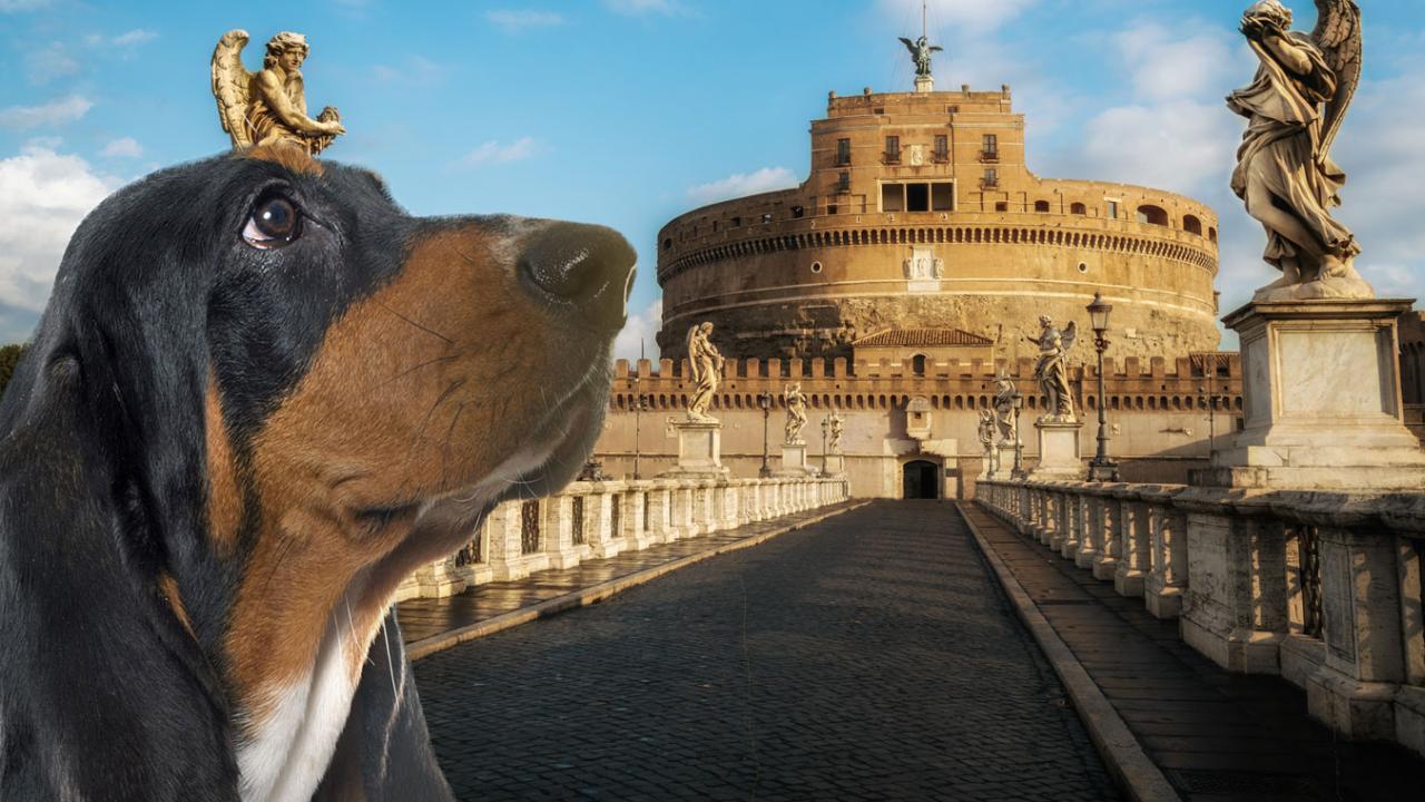 Castel Sant'Angelo con cane