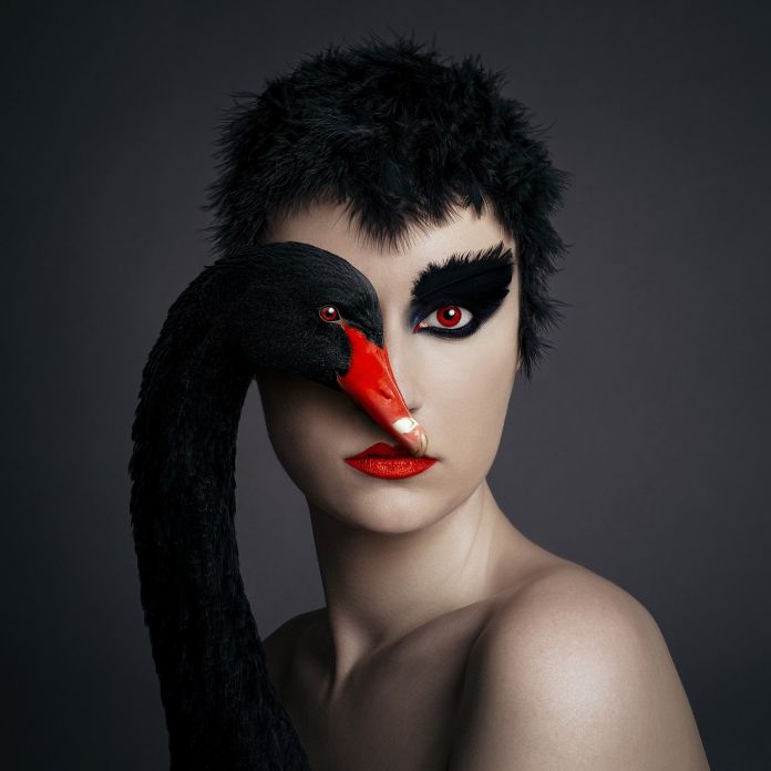F. Borsi, Black swan, 2021