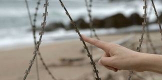 Filippo Berta, One by One, 2021, still da 4K Video 2160p, confine tra Corea del Nord e Corea del Sud, particolare