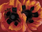 Georgia O'Keeffe, Oriental Poppies, 1927 © Adagp, Paris 2021, University of Minnesota, Minneapolis