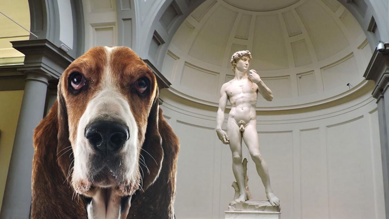 Il David Michelangelo con cane