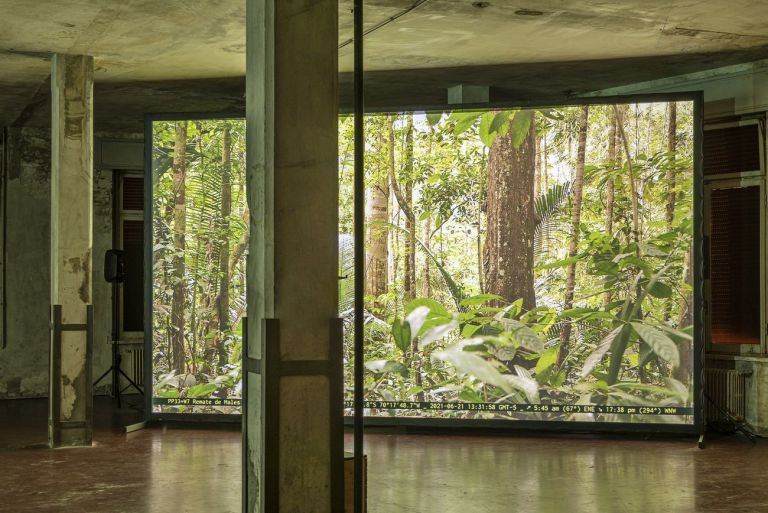 Manifattura Tabacchi, Firenze. Antonio Bermúdez Obregón, Nature is Not Green. Photo Leonardo Morfini