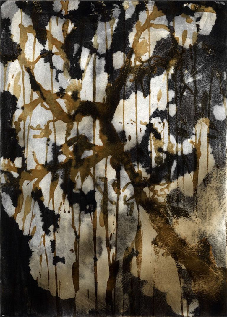 Olga Pastekova, Non Finito, limone, fuoco, pittura su carta, 36x25,8 cm. Courtesy l'artista