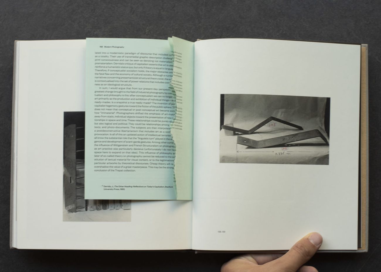 Pagine interne del libro d'artista Trepat (2014) di Joan Fontcuberta (Editions Bessard, Parigi)