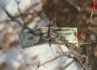 Photo © Joshua Hoehne via Unsplash