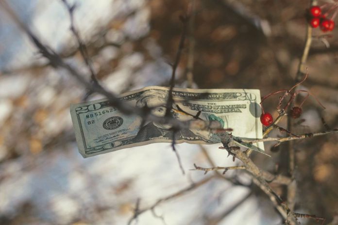 Photo © Joshua Hoehne via Unsplash