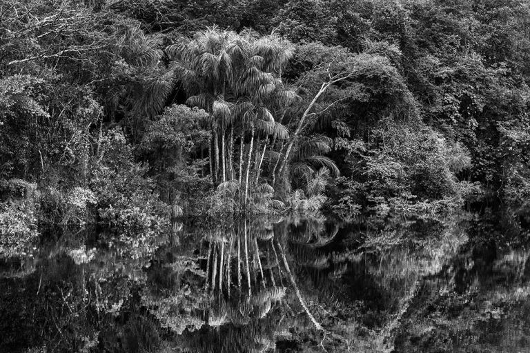 Rio Jau. Stato di Amazonas Brasile 2019 © Sebastiao Salgado Contrasto Perché è importante tornare a osservare le fotografie di Sebastião Salgado