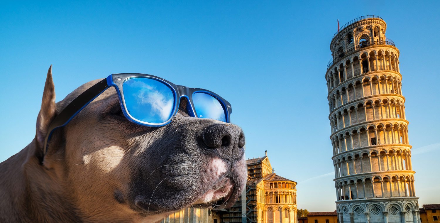 Torre di Pisa con cane