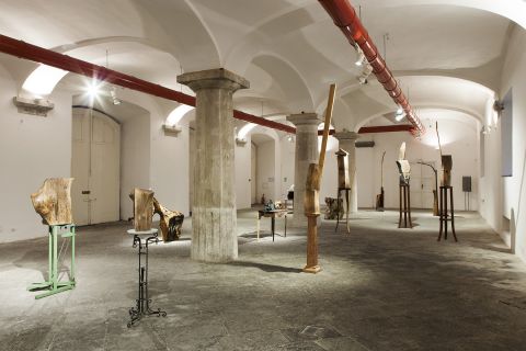 Jimmie Durham Wood, Stone and Friends, Fondazione Morra Greco, Napoli