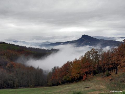 Parco Archeologico Monte Bibele