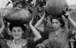 Ando Gilardi, Giovani donne portano zucche sulla testa, dalla fotoinchiesta Quando il gallo canta a Qualiano, Qualiano (Napoli), ottobre 1954 © Fototeca Gilardi