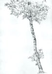 Andrea Mastrovito, Grande albero di destra, schizzo preparatorio per l’abside centrale, 2011, matita su carta, 29,7 x 21 cm, Courtesy l'artista