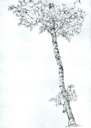 Andrea Mastrovito, Grande albero di destra, schizzo preparatorio per l’abside centrale, 2011, matita su carta, 29,7 x 21 cm, Courtesy l'artista