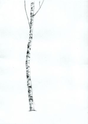Andrea Mastrovito, Senza titolo, 2011, matita su carta, 29,7x21 cm Courtesy l'artista