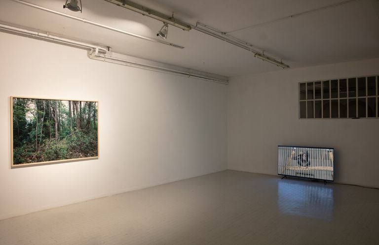 Déladelmur, installation view at galleria Artericambi, Verona 2021