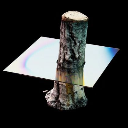 Fabio Catapano, Tree + Glass, mp.4, 2021