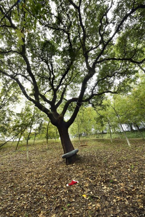 Fabrice Hyber, No Man's Land, ph. G. di Paolo