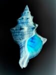 Gioberto Noro, Metacromie (à rebours) #1, 2021, archival pigment print on cotton rag paper, 108x81 cm courtesy Galleria Peola Simondi