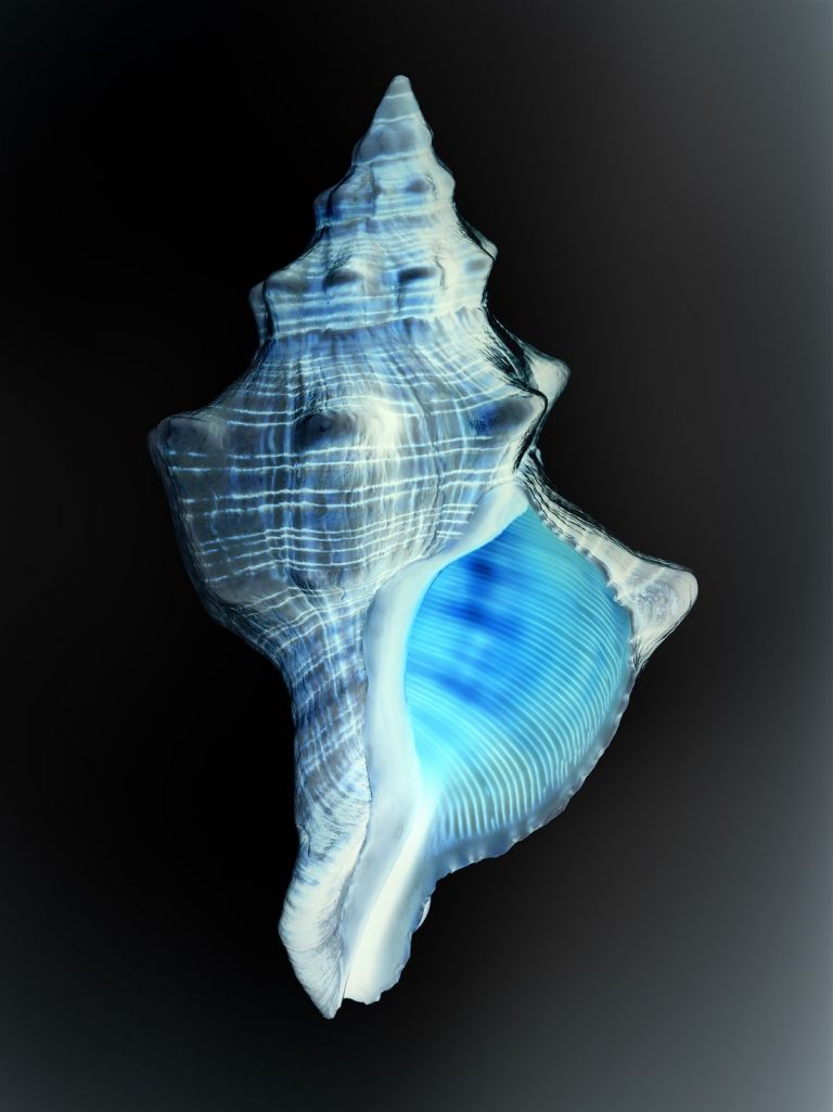 Gioberto Noro, Metacromie (à rebours) #1, 2021, archival pigment print on cotton rag paper, 108x81 cm courtesy Galleria Peola Simondi