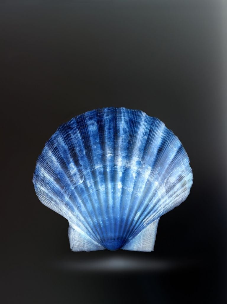 Gioberto Noro, Metacromie (à rebours) #2, 2021, archival pigment print on cotton rag paper, 108x81cm Galleria Peola Simondi