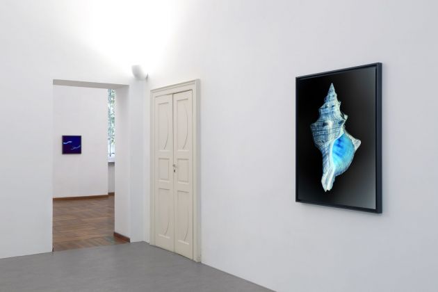Gioberto Noro, Sulla Fotografia (analogie e figure del dissimile), exhibition view at galleria Peola Simondi, Torino 2021. Courtesy l’artista e la galleria