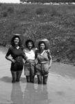 Gruppo di mondine in posa in un canale delle valli carpigiane, 1947 48 ca. Fondo Gasparini