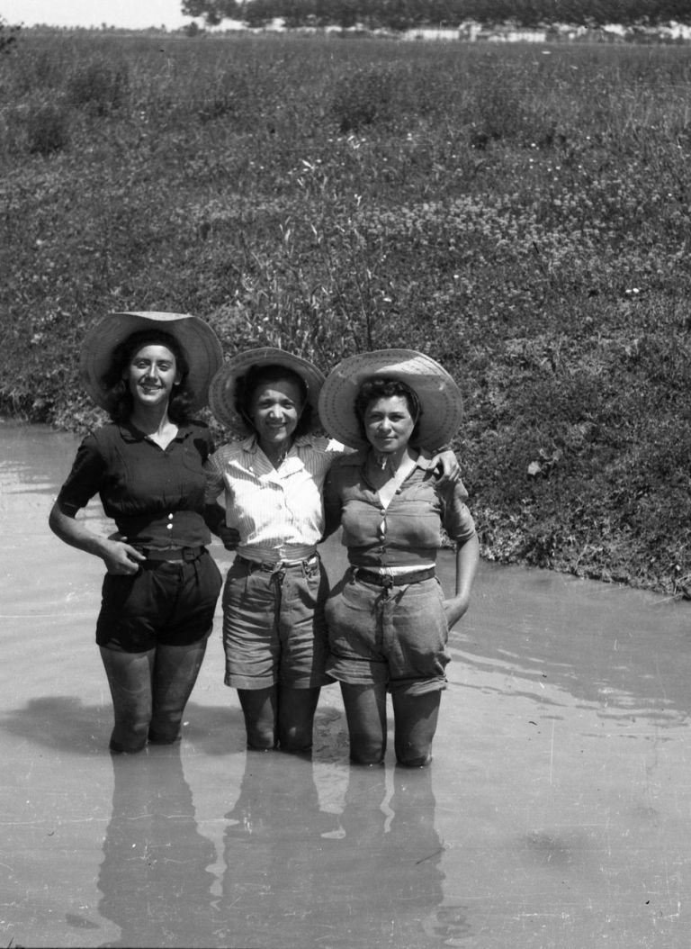 Gruppo di mondine in posa in un canale delle valli carpigiane, 1947 48 ca. Fondo Gasparini