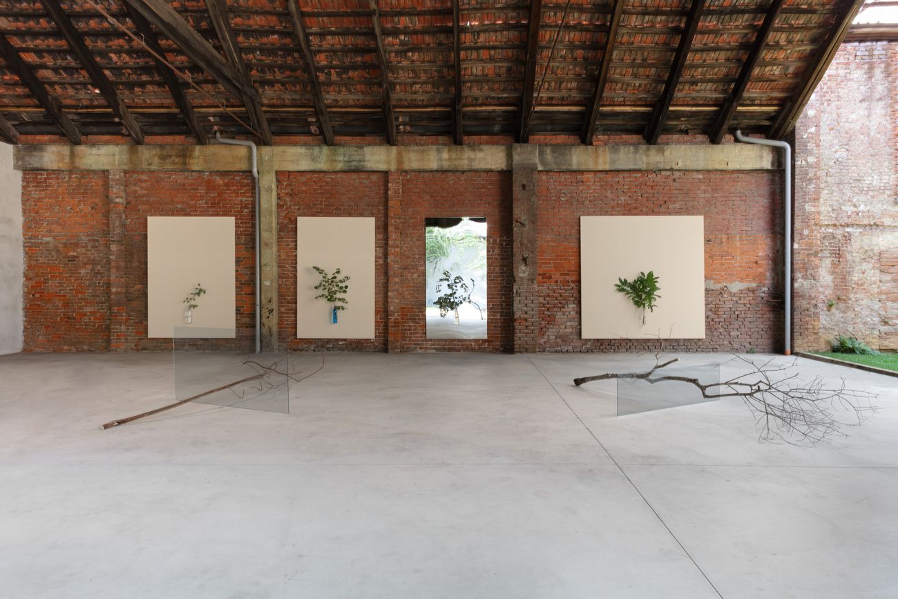 Henrik Håkansson. Paintings of Trees for Birds. Exhibition view at Franco Noero, Torino 2021