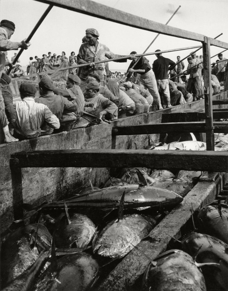 Herbert List, Il bottino delle ultime ore, Favignana, Italia, 1951. Collezione MAST. Courtesy of The Herbert List Estate Magnum Photos