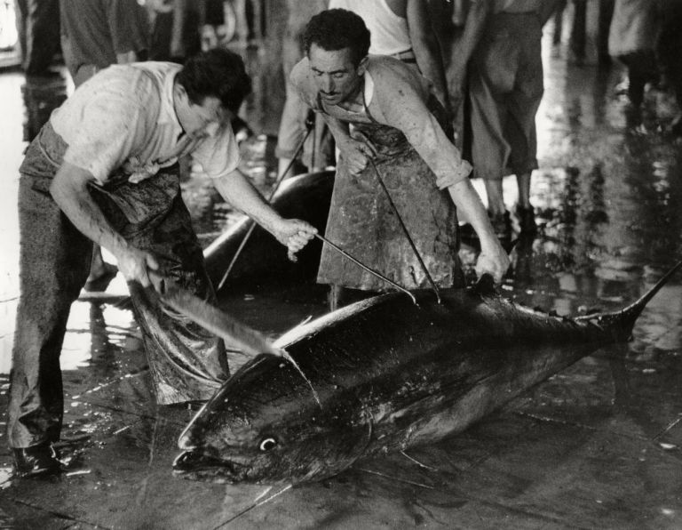 Herbert List, Si taglia la grande testa del tonno, Favignana, Italia, 1951. Collezione MAST. Courtesy of The Herbert List Estate - Magnum Photos