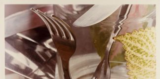 Jan Groover, Senza titolo, 1978 ca. © Musée de l'Elysée, Lausanne – Jan Groover Archives