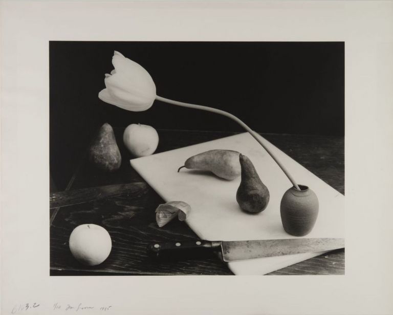 Jan Groover, Senza titolo, 1985 © Musée de l'Elysée, Lausanne – Jan Groover Archives