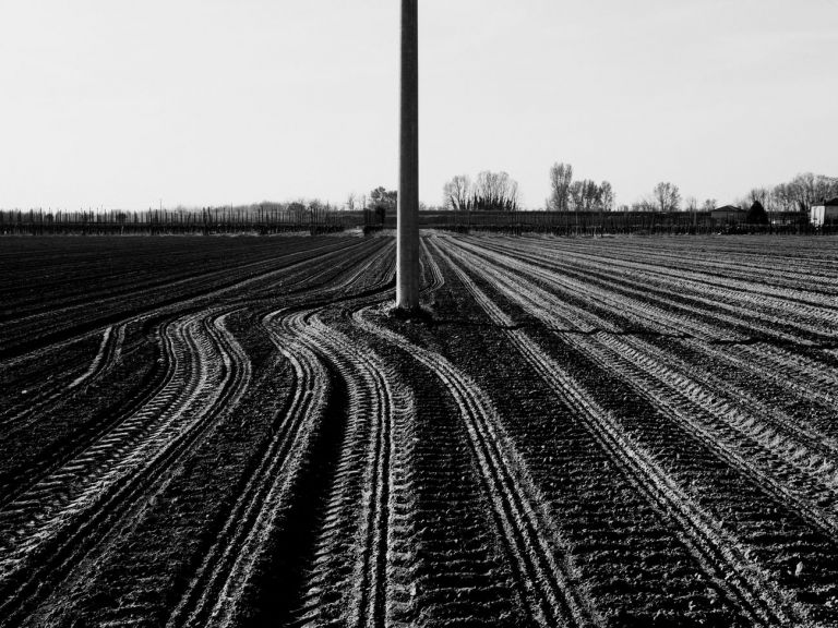 Marco Zanella, Scalandré – Cotignola, campagna di San Severo. Primavera 2019